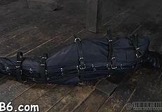 Harsh Whipping for Enchanting Gal