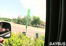 Homosexual Bear Sex in Wild Action