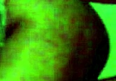 Perla rides and moves sexily on cock.