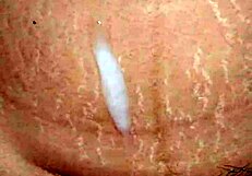 Close-up view of wet pussy lips