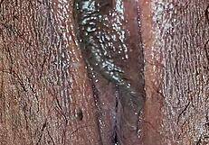 Close-up view of wet pussy lips