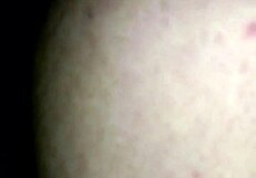 Sexy esposa nalgona cojiendo rico 😍