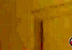 ike screws velvet rains' shaved pink pussy with his monster cock