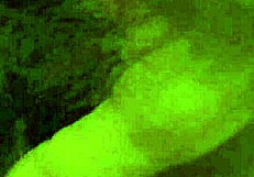 My uncle rubs my hairy pussy 😏