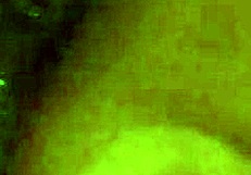 My uncle rubs my hairy pussy 😏