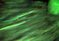 she gives good head and deepthroat part 2