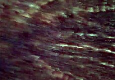 she gives good head and deepthroat part 2