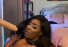 lexo butterflys passionately performs oral submission on a black ebony partner