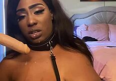 lexo butterflys passionately performs oral submission on a black ebony partner