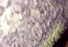 Aunt licks sleeping niece's pussy