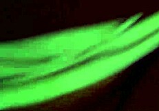 mi amante bien mojada