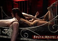 Bound Teen Tourist Gets Creampied By Felicity Feline!