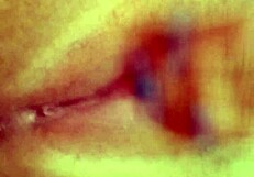 Young amateur winks her pink pussy while reaching intense orgasm.