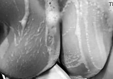 My Girlfriend's Wet Tits And Pussy In The Bath! She Got Caught!