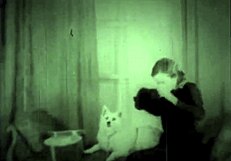 dark lantern entertainment presents beauty and the beast, oops i meant hairy beauty bent over