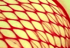 Wet Anal With Latina Milf