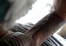 Chubby Latina Gives Blowjob in Redwood vs Ms Mowett Match