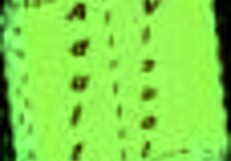 Summertime Saga Episode 212