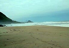 latina amateur finds big cock on beach for doggystyle assfucking and cum.