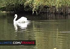 How to lick pussy - sex tutorial with real teacher