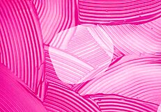 big tits maid assists hotel customer