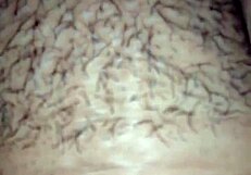 i love my big hairy ass