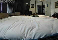 Beautiful pornstar Hannah Grace in hot POV scene