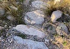 Ebony beauty gets a backshot surprise on a hiking date