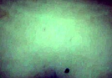 me la cojo por el culo