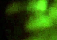 Ebony Hunk Jerks Huge BBC Cock to Cumshot on Balls