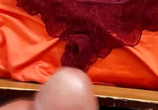 My sister-in-law's panties story unfolds