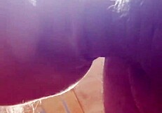 wife sucking her husband's fat dick