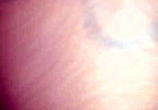 We Just Fucking Lol!