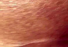 Discover the essence of cocospice