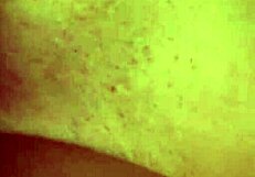 teen slut moana mendez got wild in an interracial foursome