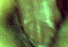 Discover the essence of cocospice