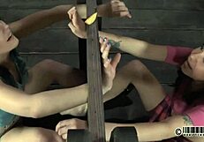 Exploring sadomasochism practices in a controlled setting