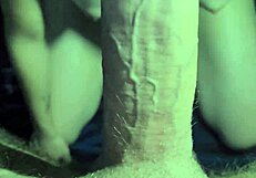 Close up of a hot girl sucking a big cock