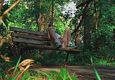 couple enjoys outdoor handjob in the forest