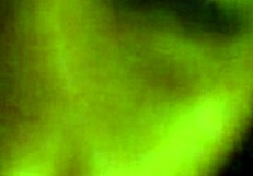 Home Made Big Dick Deep Throat With Facial