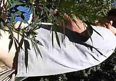 Hot Suck And Fuck In 420 Patch!