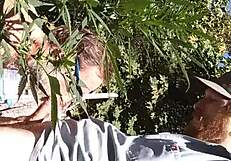 Hot Suck And Fuck In 420 Patch!