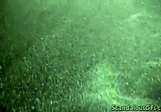 Amateur slut gets doggystyled