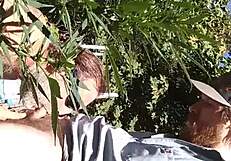 Hot Suck And Fuck In 420 Patch!