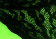 me metí a una casa abandonada no esperaba que me lo metieran a mí