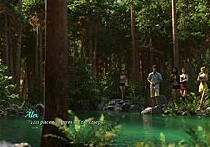 Dreamland With Big Tits And Teen Asses