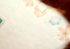 Romantic anal sex making love with my girlfriend at home rumpa21. Close up hardcore couple assfucking.