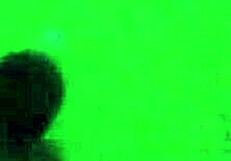 19yr old latina gags on first big black cock