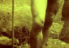 What secrets hide behind vintage Victorian homosexual encounters?