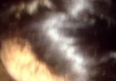 Latina Teasing With Blowjob On Big Cock